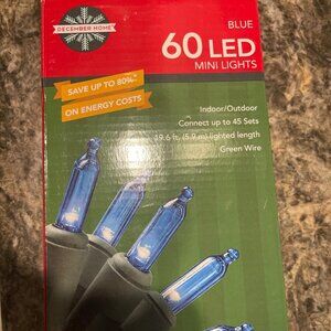 60 Led Mini Lights